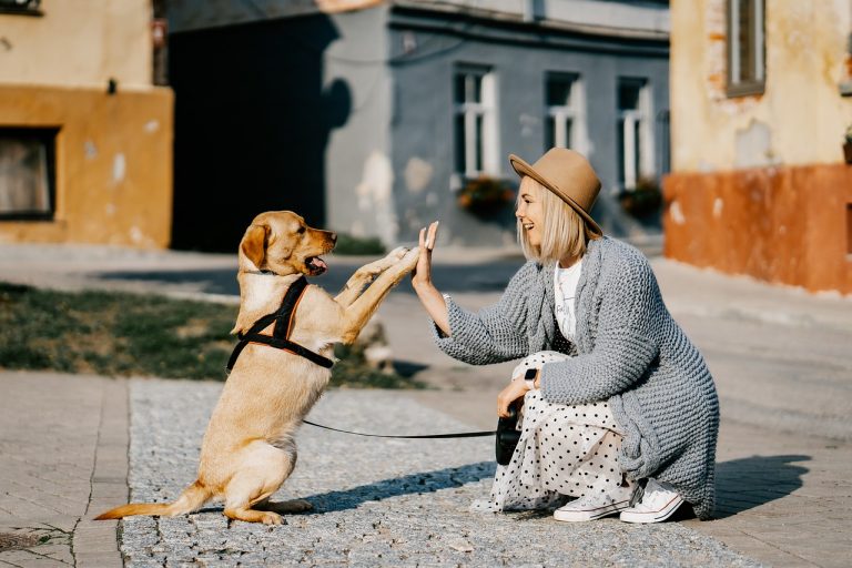 The Science of Happiness: How Pet Ownership Can Improve Your Life