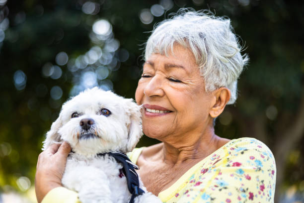 Best Dog Breeds for Senior Citizens: Companionship, Comfort, and Joy