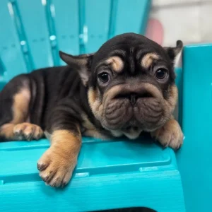 Lenny