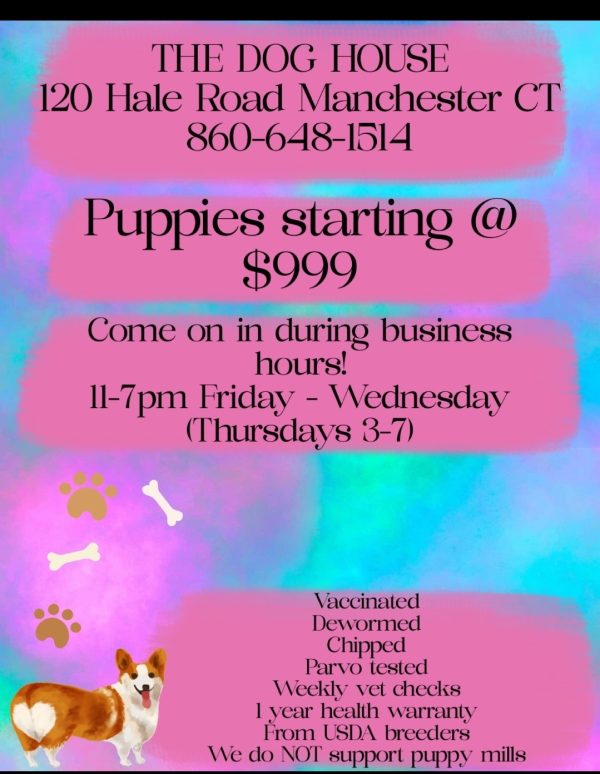 $999 Puppies!