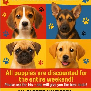 Puppy Sale!