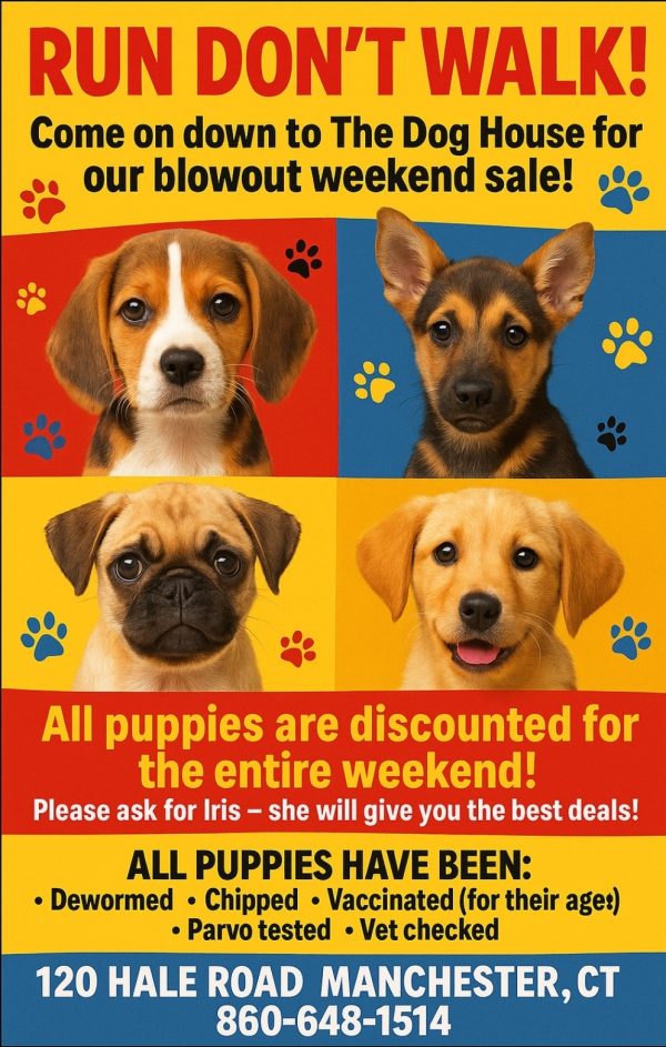 Puppy Sale--Pups As Low As $1,200!