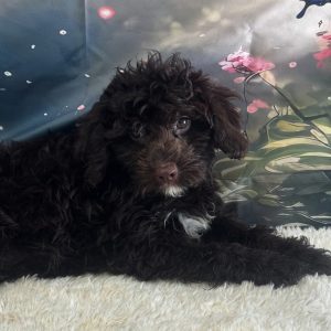 Millie