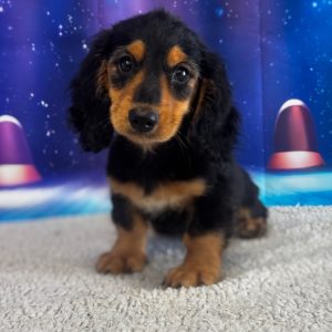Charlie