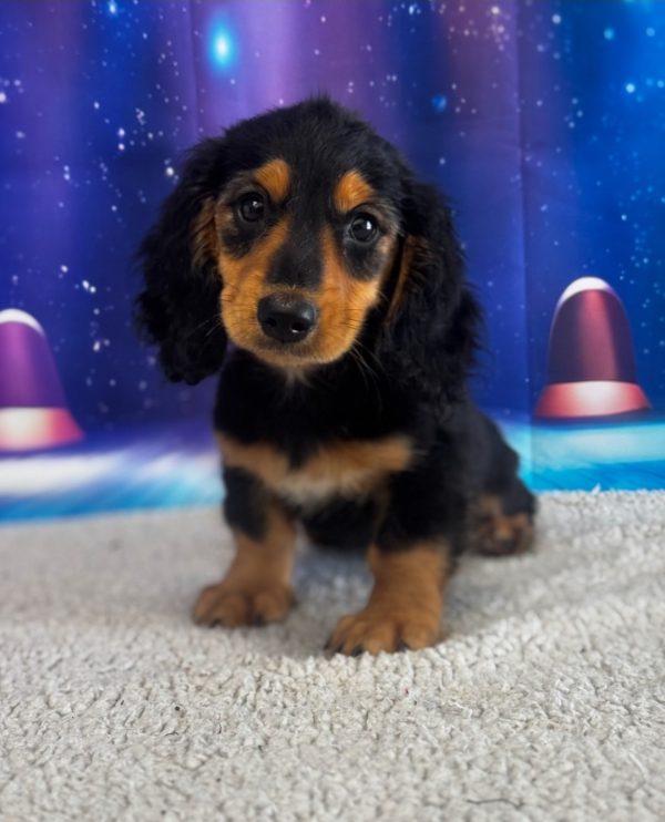 Charlie