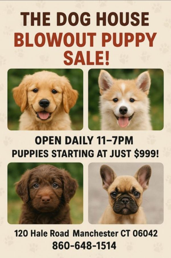 Puppy Sale--Pups As Low As $999!