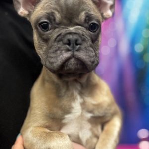 Tyson