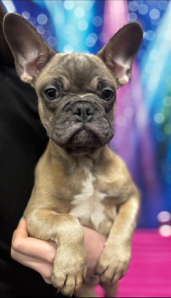 Tyson