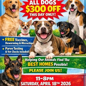$300 Off All Pups- One Day Only!