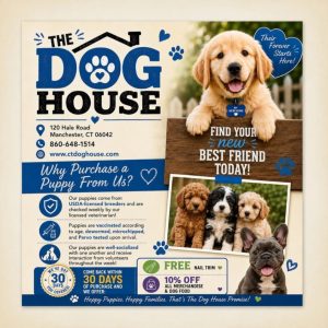 Find Your New Best Friend!