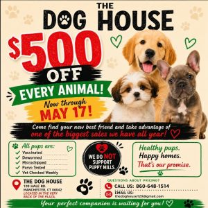 $500 Off All Pups!
